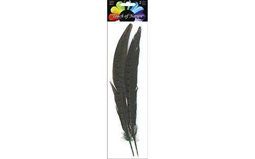 Plumes de faisan olive 25-30 cm pour chapeau et grand décor créatif