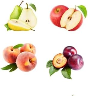 Menoufia Nurseries Set of 4 Seedlings Apple, Peach, Plum and Pear for Home Farming, Garden and Rooftop Planting