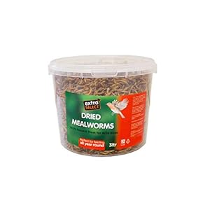 Extra Select Dried Mealworms Wild Bird Feed Treat, 3 Litre