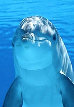 Dolphin : Notebook with Blank Wide-Ruled Lined Paper for Primary Aged Children and Middle School Students Who Love Dolphins and Aquamarine Mammals