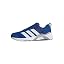 Team Royal Blue Ftwr White Halo Silver