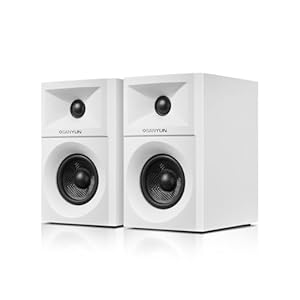 Sanyun SW203 4.0 Computer Speakers – 60W 4-Way DSP Control 3D Immersive Sound – 3″ Carbon Fiber Woofer & 20mm Silk Dome Tweeter – 24bit DAC USB/Bluetooth 5.4/AUX – Studio-Grade Audio (Pair, White)