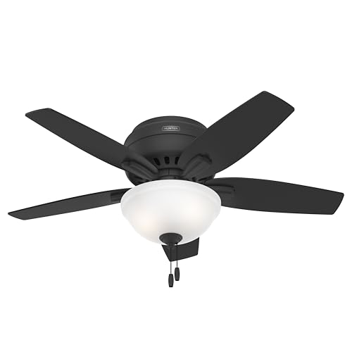 Image of Hunter Newsome, Indoor, Ceiling Fan, with LED Light, 42 inch, Matte Black
