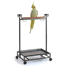 39" Large Wrought Iron Parrot Bird Cockatoo Cockatiel Play Stand Play Gym Play Ground Rolling Stand