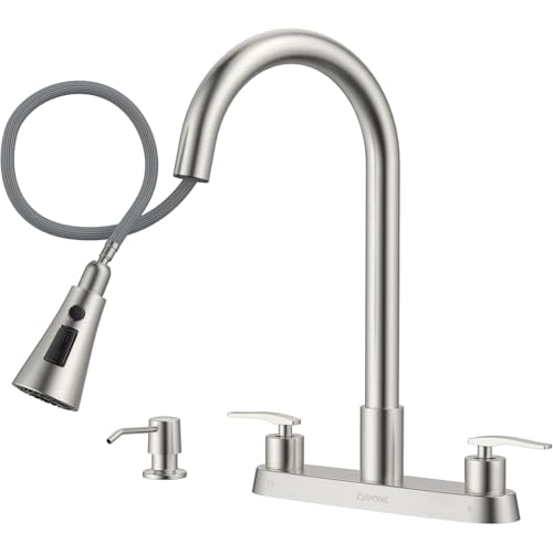 DAYONE 2 Handle Kitchen Faucet with Pull Down Sprayer