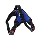 Deux points d'attache de laisse : utilisez les attaches et arrière pour attacher du chien pendant les promenades en voiture en marchant avec votre chien, gilet en tissu, fournitures pour animaux de compagnie