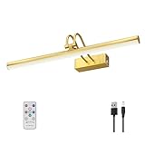 RAIFOOLLY Picture Light,Picture Lights for Wall...