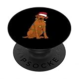 Photo Gallery rhodesian ridgeback - luci per albero di natale, per amanti dei cani popsockets popgrip adesivo Photo Gallery rhodesian ridgeback - luci per albero di natale, per amanti dei cani popsockets popgrip adesivo