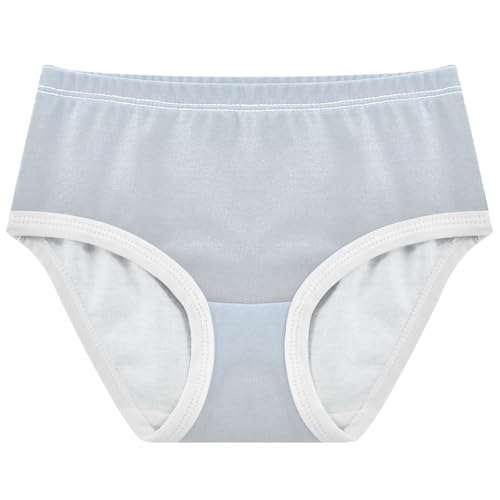 Joisal Elegant Blue Silver Gradient Panties Little Girl Girls Underwear Toddler Cotton Pattern Undies Kids Briefs 2t