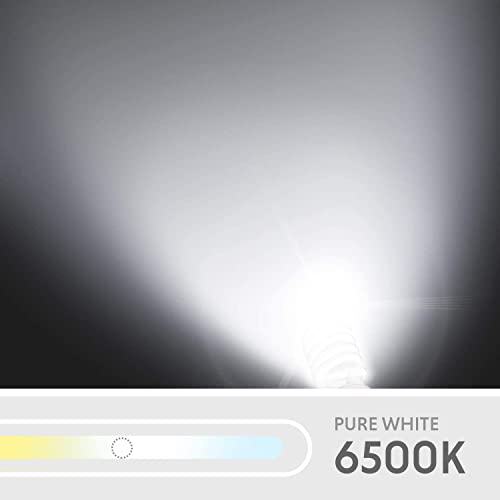 Limostudio 45 Watt, 6500K Fluorescent Daylight Balanced Light Bulb For Photography And Video Lighting, Agg876 #TOP3