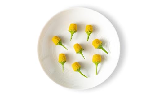 Fresh Origins Buzz Buttons Edible Flowers 200 Total Count 4 Packs of 50 Each USA Grown Bold Garnish for Cocktails Sauces and Gourmet Dishes Tingling Sensation Also Known as Szechuan Buttons