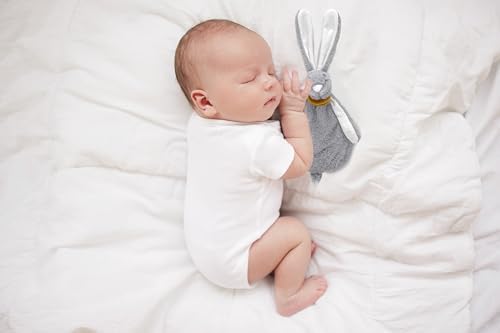 BABYJEM EMZİK ASKILI TAVŞAN UYKU ARKADAŞI TAŞ - Görsel 6