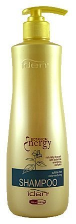 iden Botanical Energy Shampoo - 16.9 oz
