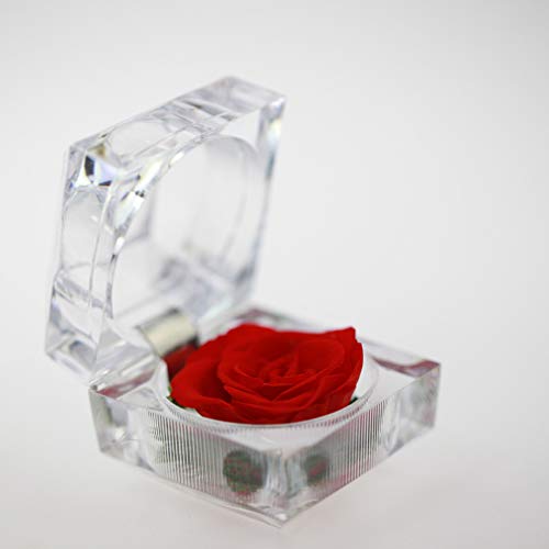 STOBOK Eternal Rose Present Immortal Rose Flowers Gift for Women Girl Birthday, Anniversary, Valenti