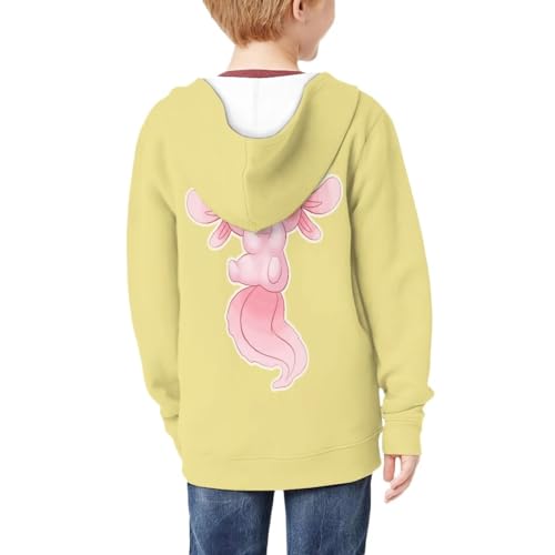Boys Girls Long Sleeve Hoodies Zipper Sweatshirt Hoodie Cute Sweatshirt Pullover Tops with Pockets Age 6-144