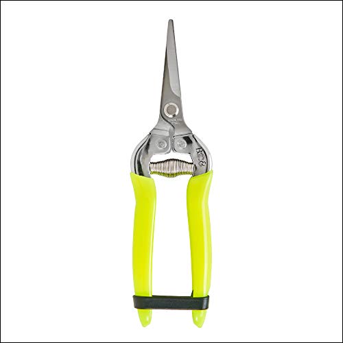 Burgon & Ball Fluorescent Flower & Fruit Snip - Yellow
