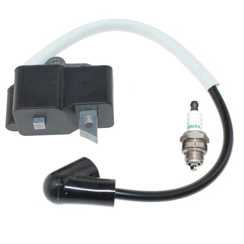 Module de bobine d'allumage contre les démarrages difficiles 358792032 - 4