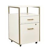 Modern 2-Drawer Rolling File...