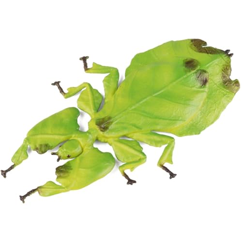 ~j`A UoO ȗt ~joO  f tBMA vX`bN 3d f xr[LbY mߋ ʐ^Be iX^C1j