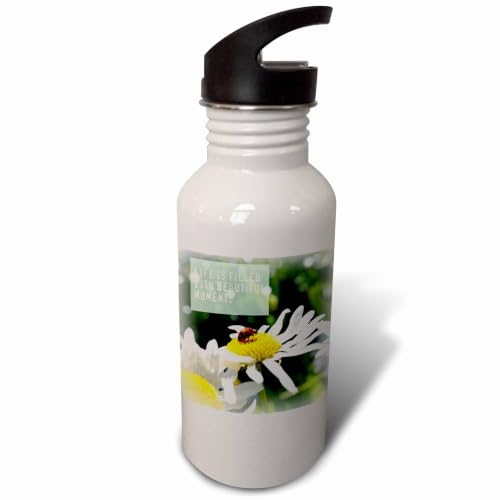3dRose "Beautiful Moments Ladybug and Daisy Flowers Inspirational" Sports Water Bottle, 21 oz, White