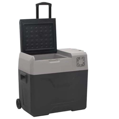 Nevera con Ruedas y Adaptador Polipropileno Negro y Gris 30 L,Neveras-3154635