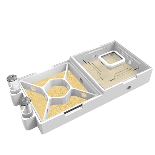 PioneerAnts Nest Farm for Live Ants and Queen - Ant Farms with Yellow Sand Observation Transparent...