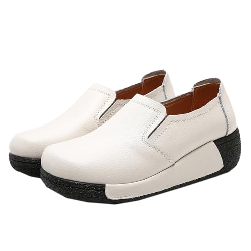 [uEP] C [t@[ fB[X JWA ItBX Xb| JWAV[Y y h ^C RtH[g [NV[Y r ubN ₷ E₷ _炩 EhgD gAbv 25.0cm 풅p o