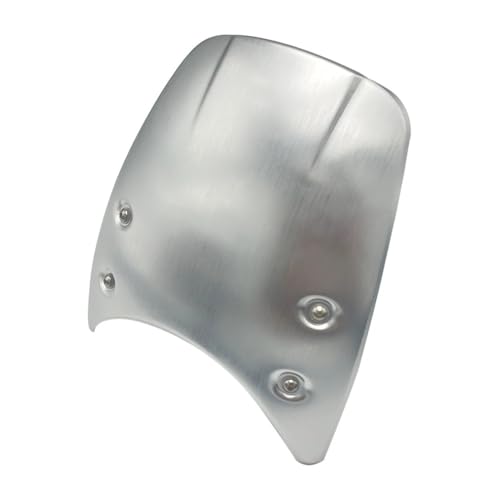 Pare-brise moto anti-fatigue et carénage de cockpit pour phare de R Nine T