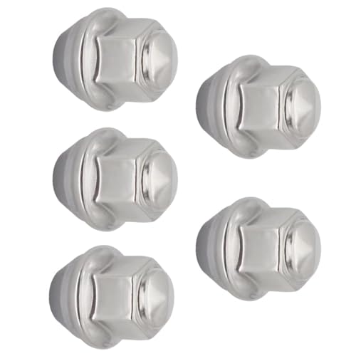 Tornillos y Tuercas para Llantas de Coche 2434886 para Puma y Ranger