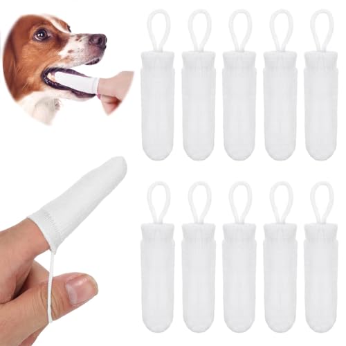 JYNXOR 10 Pezzi Pulizia Dentale per i Cani Gatti Spazzolino per Cani Piccola Taglia Pulizia Denti Cane Fibra Tessuto Spazzolino per Cani Antitartaro Cane per Alito Cane Fresco