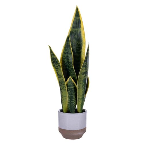 Vickerman 725658-20.5