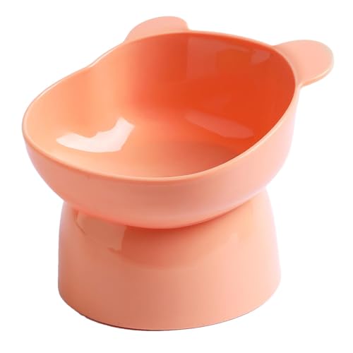 X΂˔Lpt[h{E - ȂX΂p{EX^hA]|h~XΌpa{EAڂȂqLpt[hM |ybgAqALAHp̔qfL̉a{E