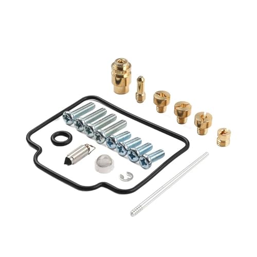 Kit reparación carburador Polaris Sportsman 450 2006 recambios 4