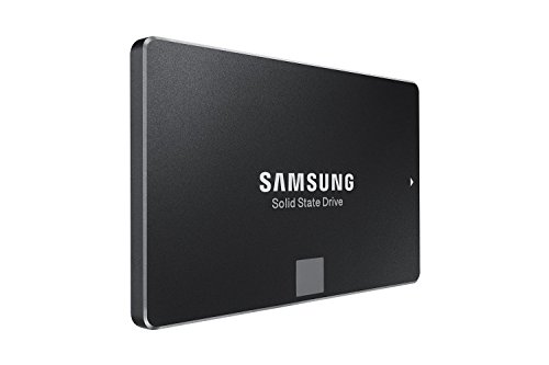 Samsung 850 EVO 1TB 2.5-Inch SATA III Internal SSD (MZ-75E1T0/AM)
