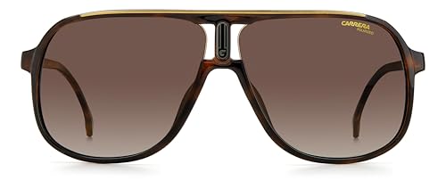 Image of Carrera Polarized Brown Navigator Men's Sunglasses 1047 /S 0086 /LA 62