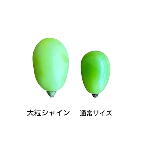 FRUITS PARK 特選 大粒シャインマスカット (甘さしっかり大粒シャイン2房 1200g) の商品画像 4