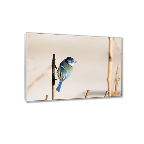 Tableaux animaux abstraits de créateur toile encadrée argentée 20x28cm