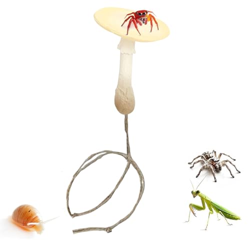 nGgO P[X ANZT[ - }Olbg I[ig | Ύ nGgO fR[V | ঒ J}L hJ  ȃybg ƒp p