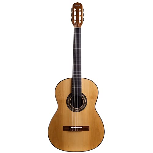 VIOLAO ROZINI ESTUDANTE ACUSTICO NATURAL RX201ACN