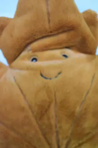 Amazon.co.jp: ジェリーキャット ウッドランド メープルリーフ