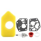 Kit de joint de membrane et filtre à air pour carburateur remplace 495770 795083 698369 av...