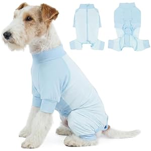 Lelepet Dog Sun Shirt, UPF 50+ Dog Sun Protection Full-Body Shirt, Lightweight Breathable Dog Cooling Vest, Quick Dry Summer Clothes for Small Medium Dogs, Blue XS