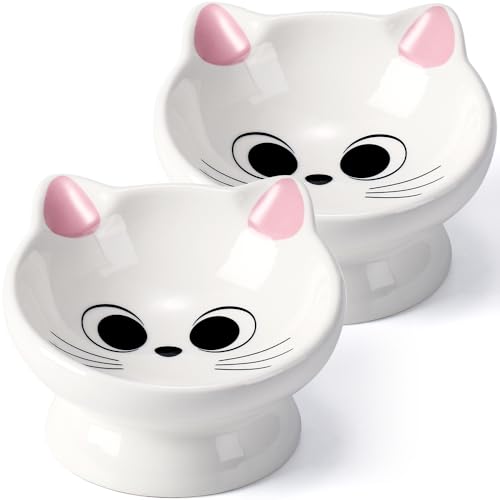 2Pcs Raised Cat Food Bowl Ceramic 15° Tilted Cat Food Bowls Protect Cat's Spine Anti Vomiting Backflow Prevention Bowls for Adult, Kitten, and Small Dogs, Pink