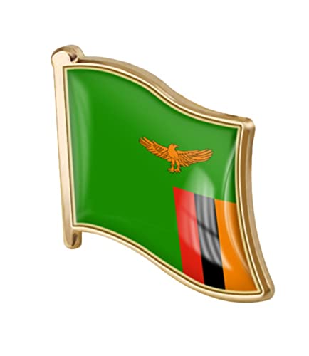 Image of vmcoatdu Country Flag Pin Badge International Travel Brooch Metal Alloy Souvenir Pin for Hat Clothes Backpack