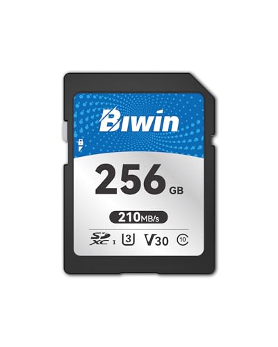 メモリー Biwin」の人気商品一覧 | 安い商品を通販サイトから探す