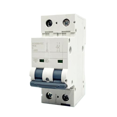Disyuntor pequeño contra sobrecargas interruptor automático 5SY6 2P 25A para cortes de luz