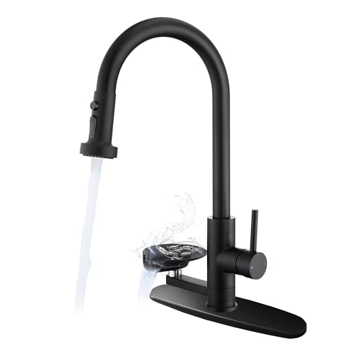 HGHBATTH Kitchen Faucet with Glass Rinser