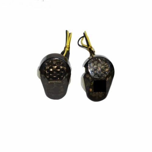 Luces giro traseras y piloto de parada moto para ZX6R ZX636 ZZR600 ZX9R