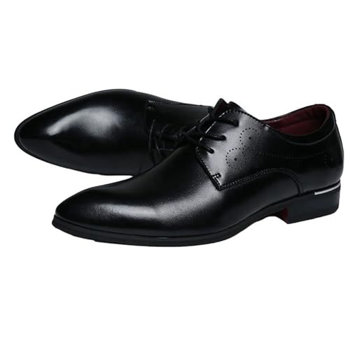 [GUREITOJP] V[NbgC rWlXV[Y Y {v [XAbv 5cmAbv |CebhgD LC h y [Jbg tbg EH[LOV[Y tďH l  Zn X[c 24.0 cm