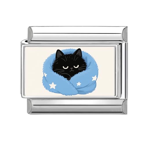 Loozykit Italian charm bracelet charms silver Italian charms 9mm italian bracelet for women splicable Pet Photos stainless italian charm accessories DIY girl gift(Black cat wrapped in quilt)